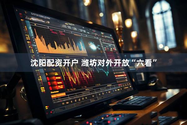 沈阳配资开户 潍坊对外开放“六看”